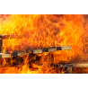 Verhalten im Brandfall - Grundlagen